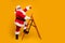 Full size profile side photo of funky funny santa claus decorate christmas tree climb stairs want hang x-mas ornament on