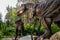 Full-size tyrannosaurus rex statue in the forest of Belgorod dinopark. Carnivorous toothy