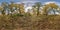 Full spherical hdri panorama 360 degrees angle view of beautiful landscape in oak grove with clumsy branches in gold autumn in