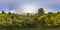 Full spherical hdri panorama 360 degrees angle view in bushes of yellow flowers of broom ï¿½ytisus with halo on evening sky