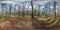 Full spherical hdri panorama 360 degrees angle view on gravel pedestrian footpath and bicycle lane path in pinery forest near huge