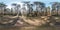 Full spherical hdri panorama 360 degrees angle view on gravel pedestrian footpath and bicycle lane path in pinery forest in sunny