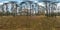 Full spherical hdri panorama 360 degrees angle view on pedestrian footpath and bicycle lane path in pinery forest in