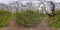 Full spherical seamless hdri panorama 360 degrees angle view on path in ravine among deciduous forest with spring flowers in