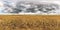 Full spherical seamless hdri panorama 360 degrees angle view among rye and wheat fields in summer evening sunset with awesome