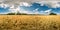 Full spherical seamless hdri panorama 360 degrees angle view among rye and wheat fields in summer evening sunset with awesome