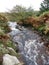 A full stream cascades down a Scottish hill