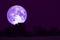 full Thunder moon on night sky back over silhouette forest