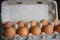 Full tray with chicken eggs. Eggs cardboard container. Close-up. Selective focus