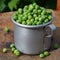 Full vintage aluminum mug of fresh green peas