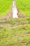 Full water ditch in a field after torrential rain