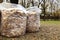 Full white garbage bags with autumn leaves on the ground in the city park. Seasonal cleaning of foliage