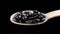 Full wooden spoon of black beans on a black background.