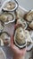 Full yummy opened giant oyster in a Shell serving on lady cheft hand`s, Freshness seafood from fishery boat at fresh market, food