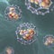 Fullerene nanoparticles containing drug molecule