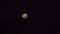 Fullmoon night footage, dramatic dark gray clouds moving slowly through round bright yellow moon night. night video scenary.