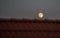 Fullmoon over roof