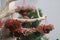 Fully bloomed colorful flowers hanging from tree branch , speong ,love theme photo