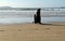 A fully covered Muslim woman in black niqab and abaya walking with her little son on the beach