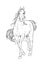 Fully grown horse, coloring page