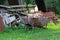 Fully loaded with construction material rusted wheelbarrow construction cart with missing tyre in backyard