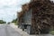 Fully loaded Sugarcane Truck on road in Orange Walk, Belize