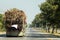 Fully loaded Sugarcane Truck in a road, Thailand