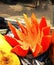 Fully ripe and healthy Papaya cut in a flower shape for sale in fruit market