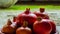 Fully Ripe Red Pomegranates