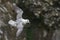 Fulmar flying along a cliff of Great Saltee Island