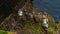 Fulmars nesting on the Eshaness Cliffs in Shetland Islands