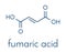 Fumaric acid molecule. Found in bolete mushrooms, lichen and iceland moss and used as food additive. Skeletal formula.