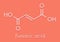 Fumaric acid molecule. Found in bolete mushrooms, lichen and iceland moss and used as food additive. Skeletal formula.