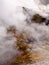 Fumarole and yellow stones inside active vulcano Solfatara