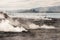 Fumaroles at lake Rotorua