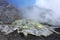 Fumaroles White Island, Bay of Plenty, New Zealand