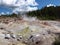 Fumaroles in Yellowstone USA