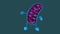 Fun 3D cartoon mitochondria