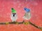 A fun bright card with two cute birds in the knit hats in the sn