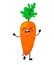 Fun and bright carrot in a cartoon style. Vector isolate on white background.