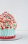 Fun cake giant cupcake por celebration birthday party