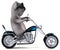 Fun cartoon Koala on a motorbicycle