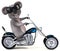 Fun cartoon Koala on a motorbicycle