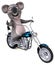 Fun cartoon Koala on a motorbicycle