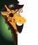 Fun Cartoon Pirate Giraffe looking at a blank white page