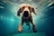 fun dog funny puppy pool underwater water snorkeling vacation swimming. Generative AI.