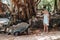 Fun family entertainment in Mauritius. A girl feeds a giant tortoise at the Mauritius island zoo