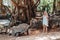 Fun family entertainment in Mauritius. A girl feeds a giant tortoise at the Mauritius island zoo