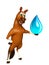 fun Horse cartoon character with water drop