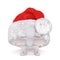 Fun little 3d man hiding under a Christmas hat